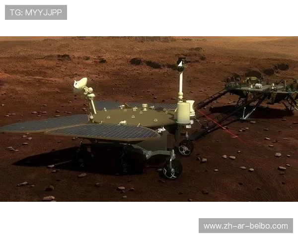 西甲联赛球衣号码分配的规则详解